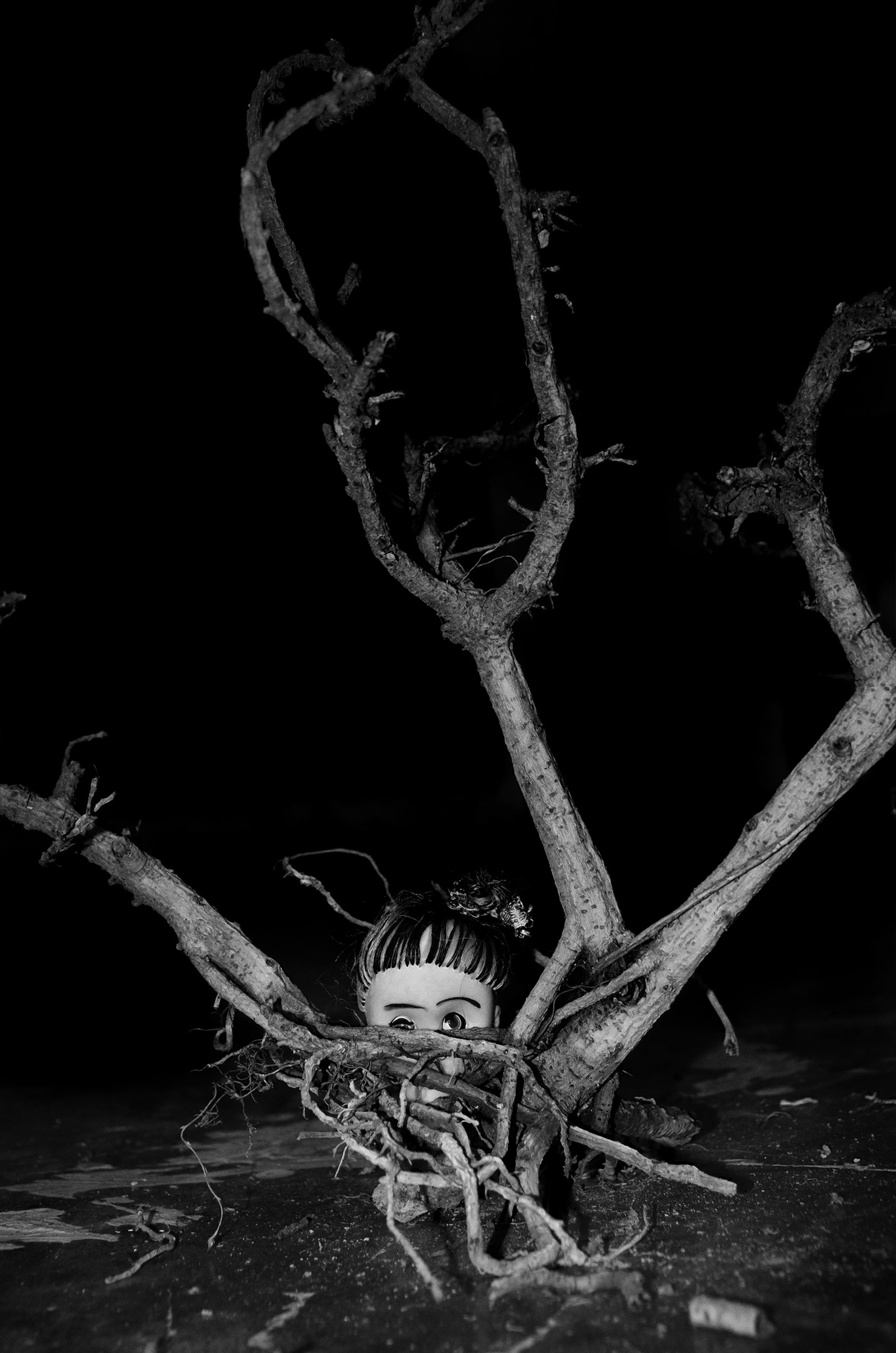 A Displaced Hope by Taha Ahmad, photograph 6