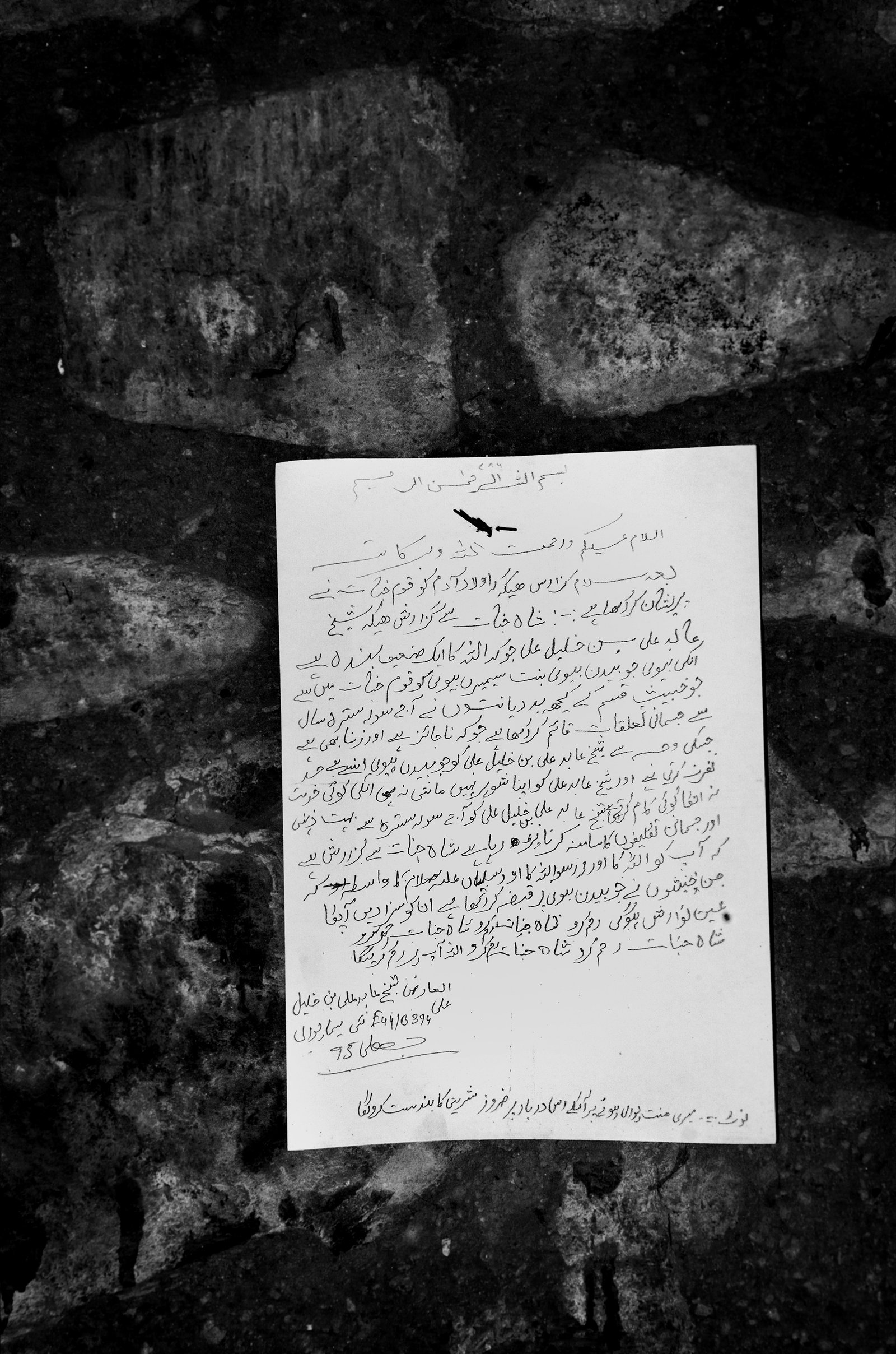 A Displaced Hope by Taha Ahmad, photograph 34