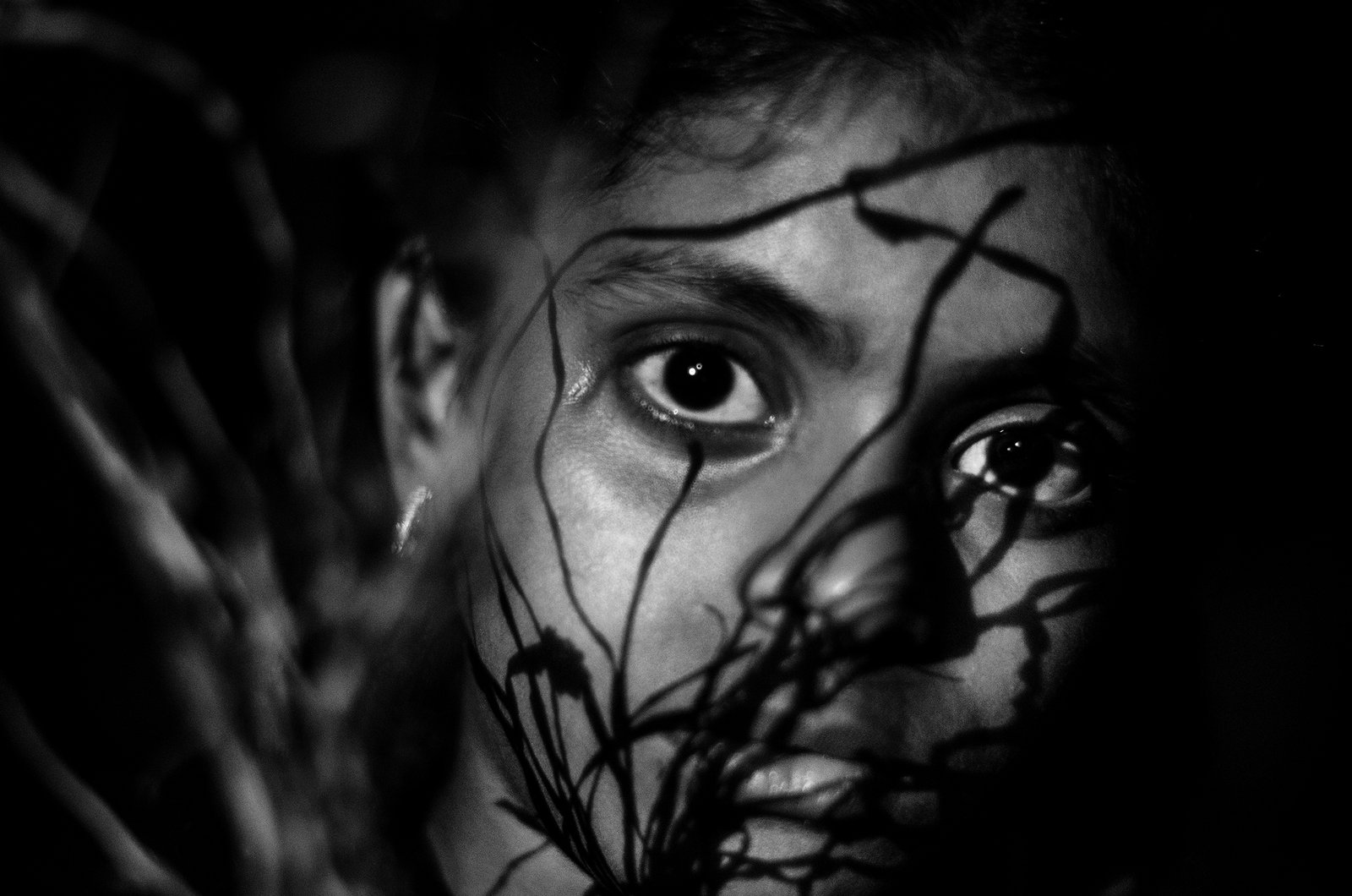 Drawn into Two, Which Way Home? by Taha Ahmad, photograph 6