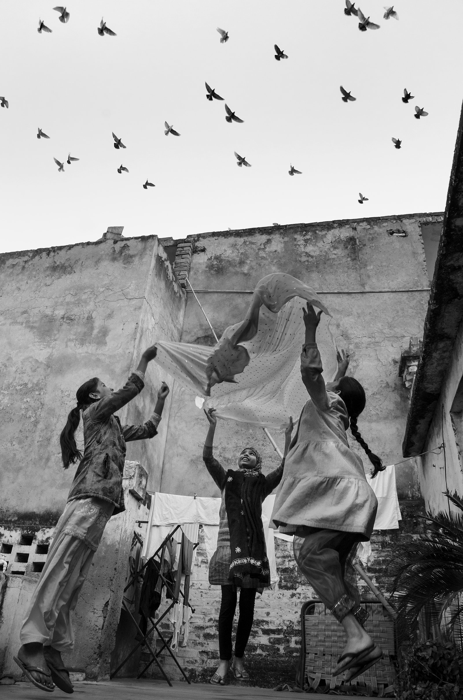 Swan Song of the Badlas by Taha Ahmad, photograph 19