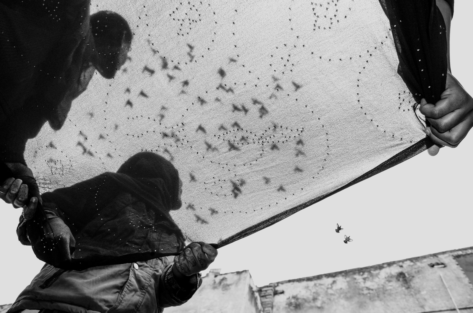 Swan Song of the Badlas by Taha Ahmad, photograph 23